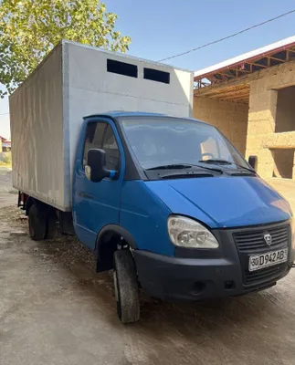 Gazel Bortli 4.20 1