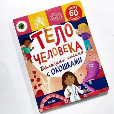 Bolalar uchun rivojlantiruvchi kitob | «Inson tanasi» 1