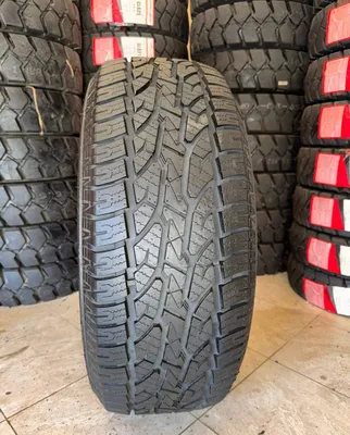 265/60R18 dynamo 1