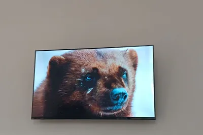 Kafolatli Artel A43MF3300 televizori (43 dyuym) 1