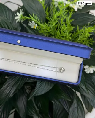 925 probali kumush