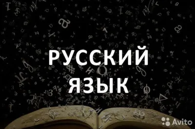 Rus tili bo‘yicha repetitorlik