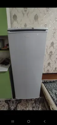 Холодильник «Брюса»