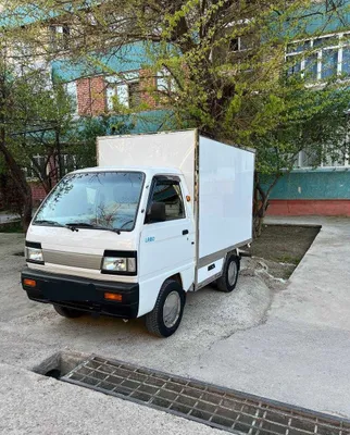 Срочно! Damas Labo 2023 1
