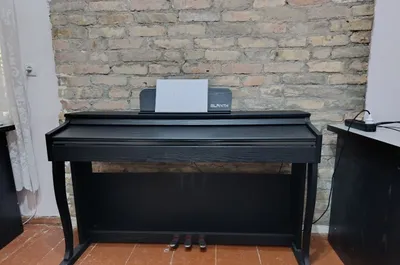 Elektron pianino 1