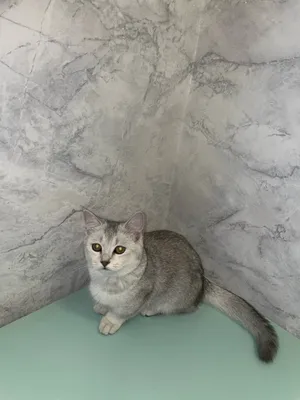 Er-xotin bilan jinsiy aloqa Dengizchi jinsiy aloqani tomosha qiling