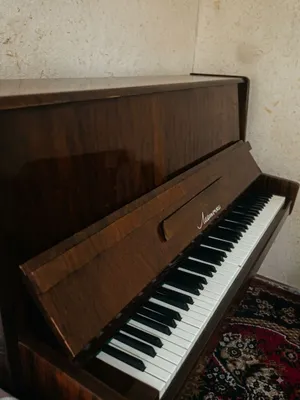 Фортепиано «Ласточка» 1