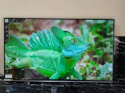 Avalon B43MQA800 QLED televizori 1
