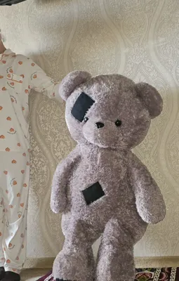 Teddy ayiq arzon