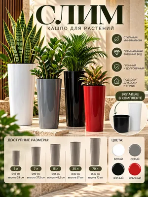Gullar uchun tuvak / “Slim” kaspo 1