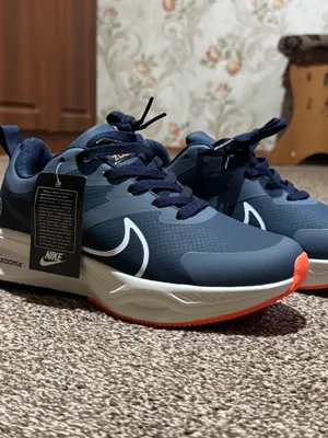 Кроссовки Nike 1