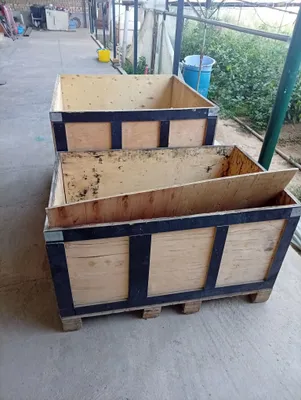Tayyor katak tovuq joja boqish ushun 1