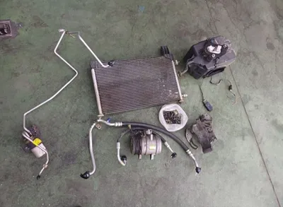 Matiz kanditsaner
