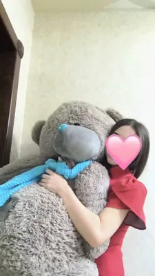teddy ayiq 2