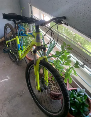 Velosiped mascot 1