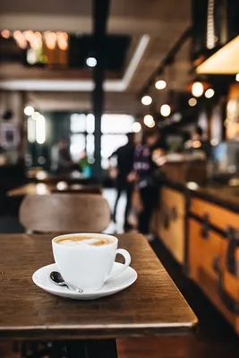 S. Mashxadi ko‘chasida kafe ijaraga beriladi