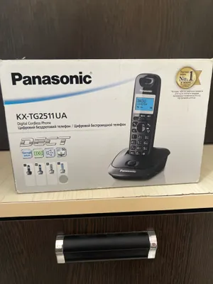 Panasonic