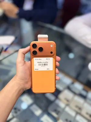 iPhone 17 Pro Max
