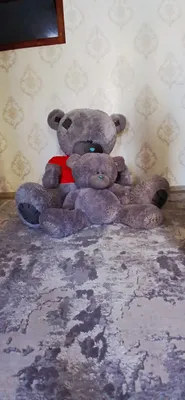 Ona bola teddy sotiladi 1