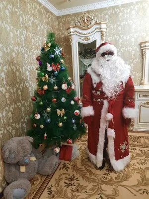 Qorbobo kiyim 1