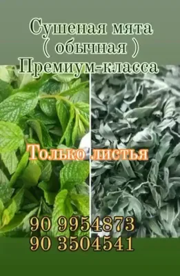 Сушёная мята премиум класса 1