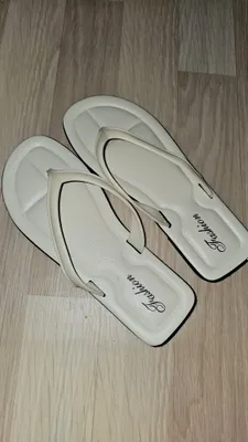 slansi