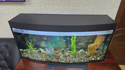 AKVARIUM sotiladi 1