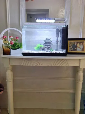 Baliqli akvarium 1