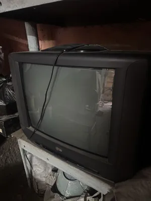 Taglikli televizor 1