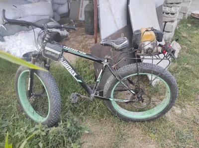 velosiped skuter