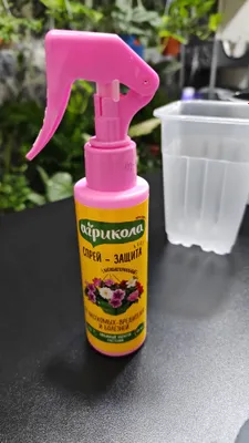 спрей от насекомых для цветов