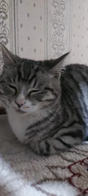 Irina Berezhnaya bilan porno