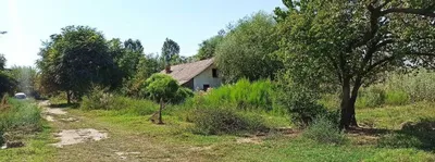 Участок 35 соток для фермерского и частного хозяйства