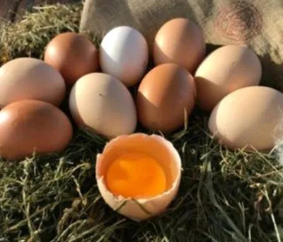 домашние яйца продаются, по заказу складываю 1