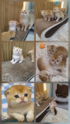 Nopok uysiz porno onlayn