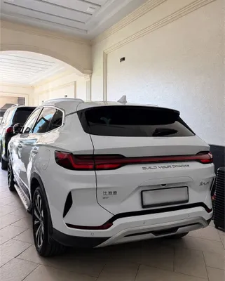 Byd chempion 2023 1