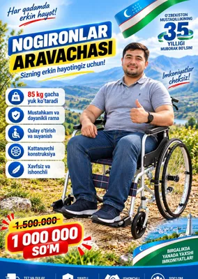 optom va donaga nogironlar aravasi
