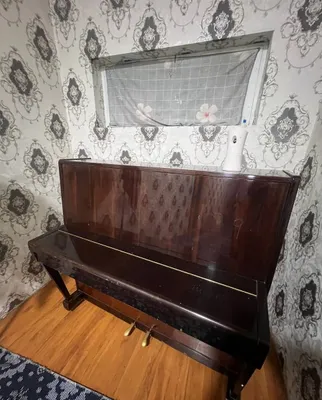 Pianino kelishamiz 1