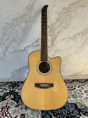 12 Strunalik gitara dastasi tepadan singan ekvalayzri 1