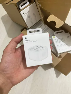 3pin (Euro) Apple Adapter 1