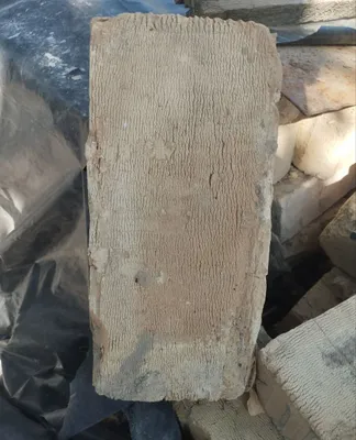 Pishgan gʻisht sotiladi 1