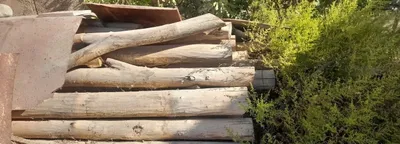 Продаются брёвна. Цена — 130 000 сум 1