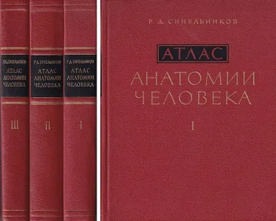 D. R. Sinelnikov anatomiyasi atlasi, 3 jild 1