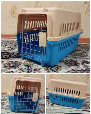 Клетка, лоток для котят 1