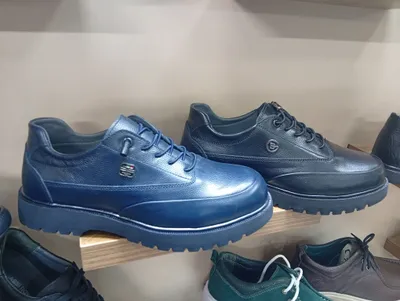 сантони