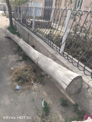 Кругляк из тополя, 6,40 м 1