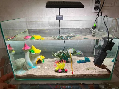 Tayyor Akvarium Готовый Аквариум