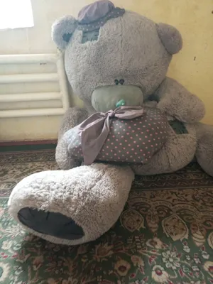 Tedy ayq sotiladi 1