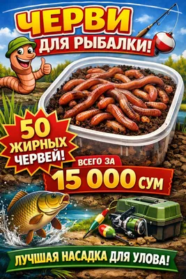 Baliq ovlash uchun chuvalchanglar