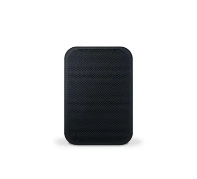 Bluesound Pulse Flex 2i . Беспроводная Hi-Fi-акустика 1